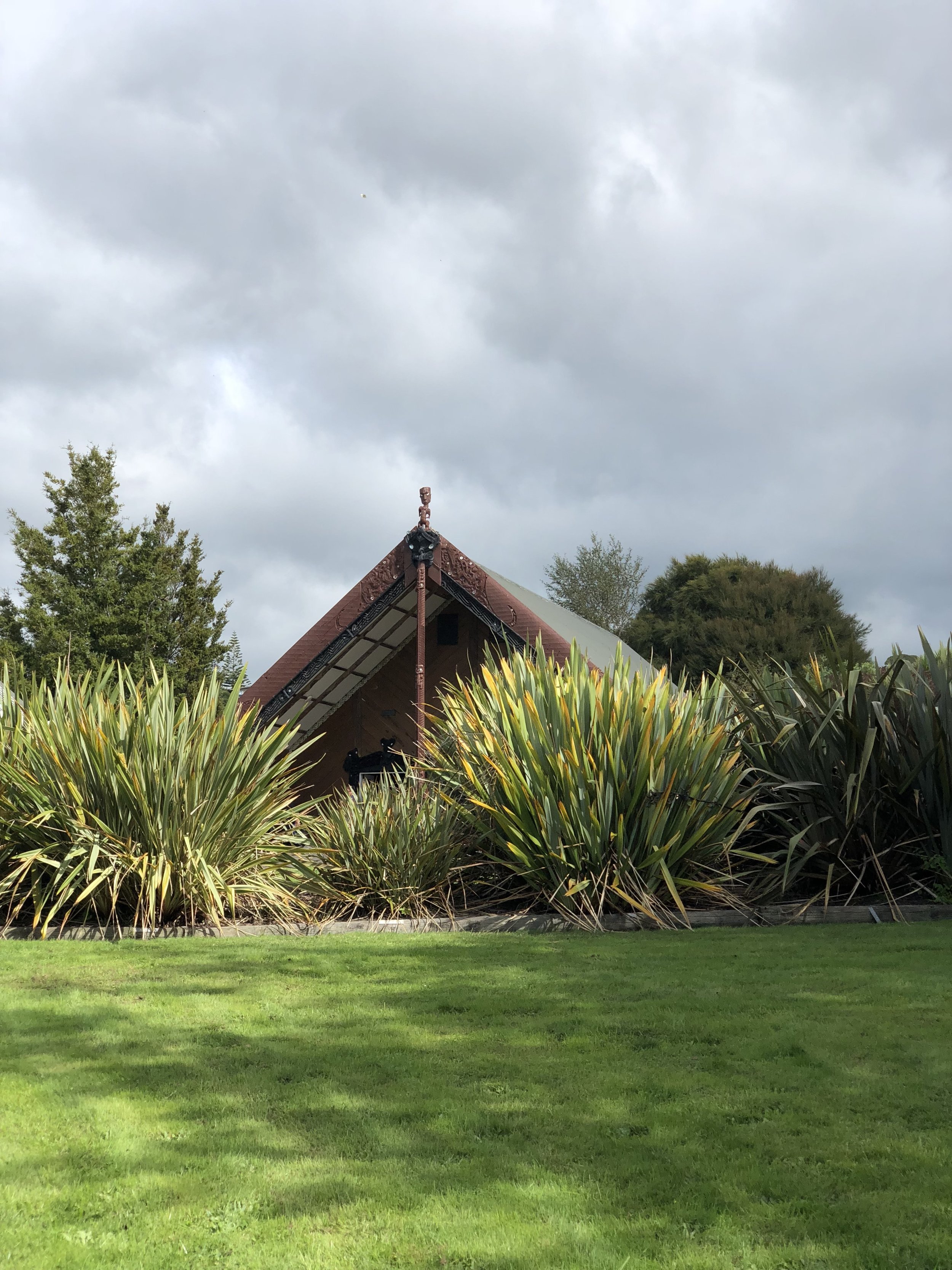 A Wharenui behind the pā harakeke