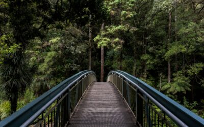 NHC urges Government to use COVID immunisation programme to demonstrate commitment to hauora Māori