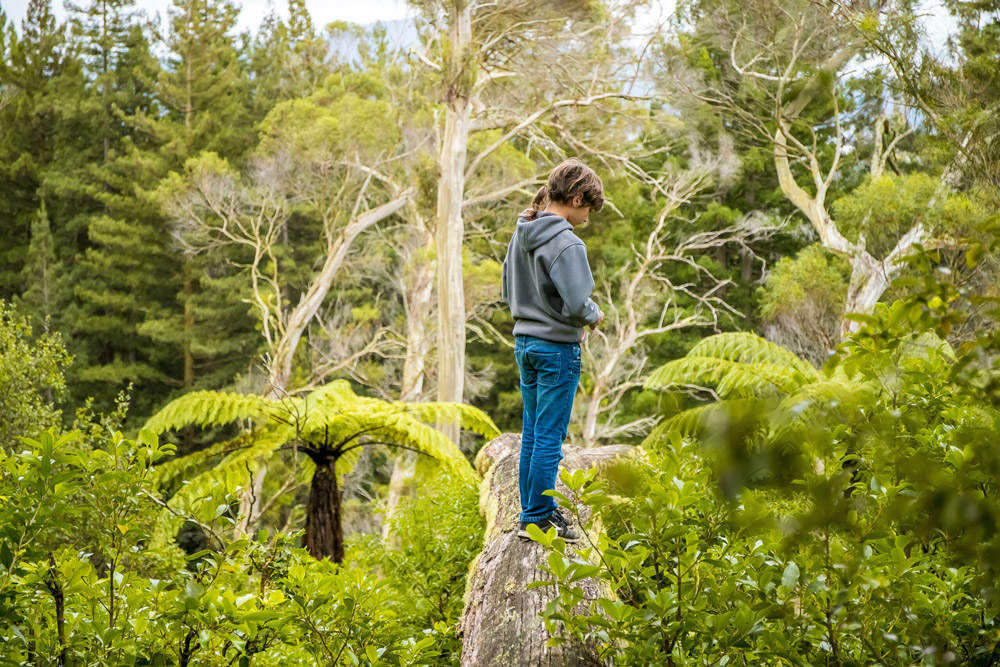 National Hauora Coalition welcomes Waitangi Tribunal’s clear direction for primary health care