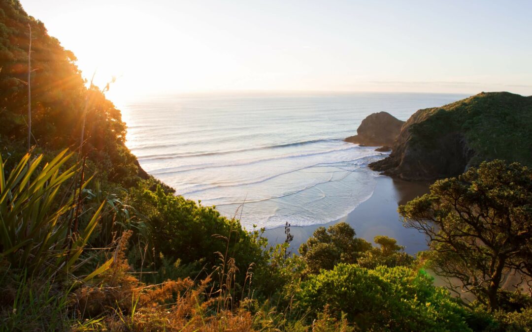 National Hauora Coalition announces the appointment of Dr Rachel Brown as Interim Chief Executive.