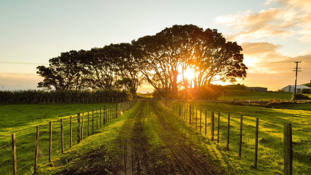 National Hauora Coalition set to grow, with 29 practices joining the network in partnership with Green Cross Health